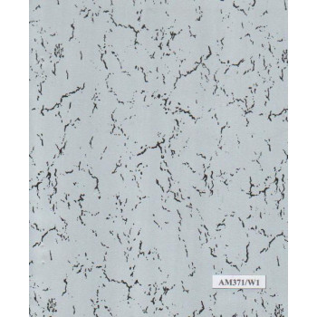 040MM PLATINUM(20M) AM371/W1