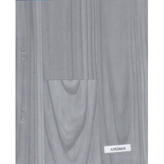 045MM PLATINUM AM266/6