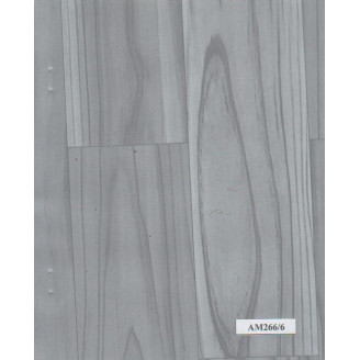 045MM PLATINUM AM266/6