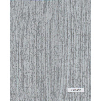 045MM PLATINUM AM307/6