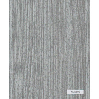 045MM PLATINUM AM307/6