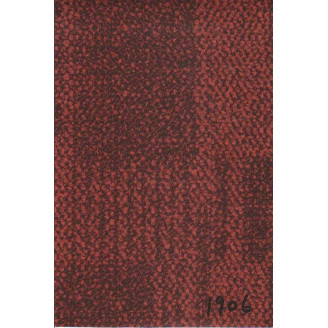 Pvc Floor Mat 1906