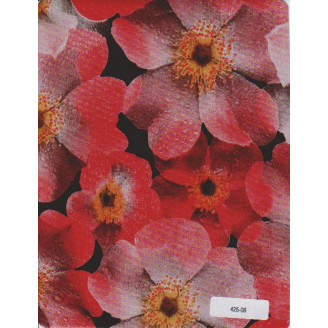 Table Sheet TS 425-08